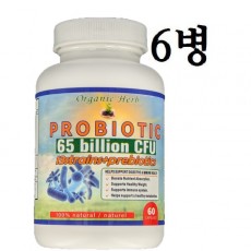 프로바이오틱스(Immune System,메타볼리즘 활성화) 650억,  60정 X6병,360일분